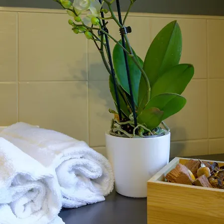 Ca Zianini 威尼斯